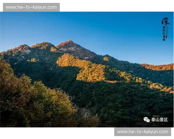 橙红碰撞的史诗：当泰山脊梁遇见南粤风暴，那场关于信仰的博弈